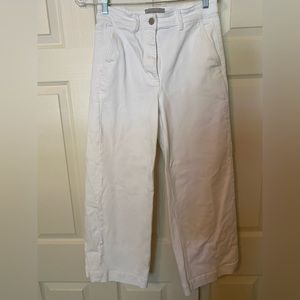 Everlane Relaxed Straight Wide Leg Pant